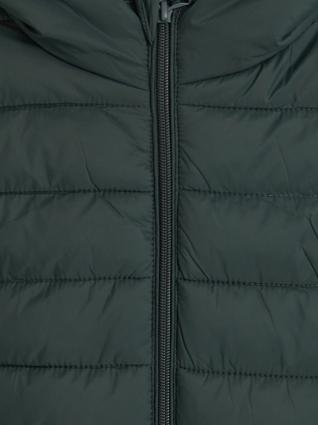 Yeşil Regular Fit Kapüşonlu Erkek Şişme Mont-2