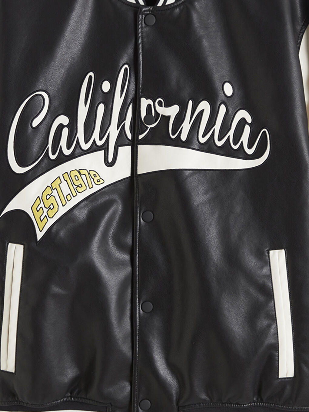 California Nakışlı Erkek Deri Görünümlü Mont-5