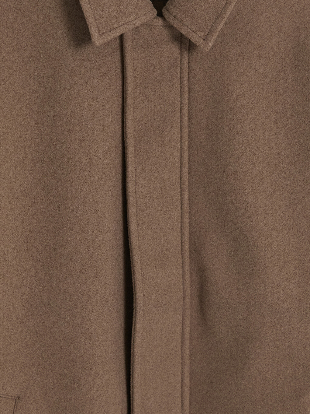 Bej Regular Fit Erkek Mont-5
