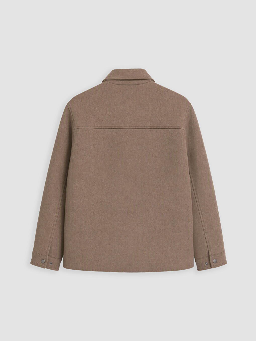 Bej Regular Fit Erkek Mont-6