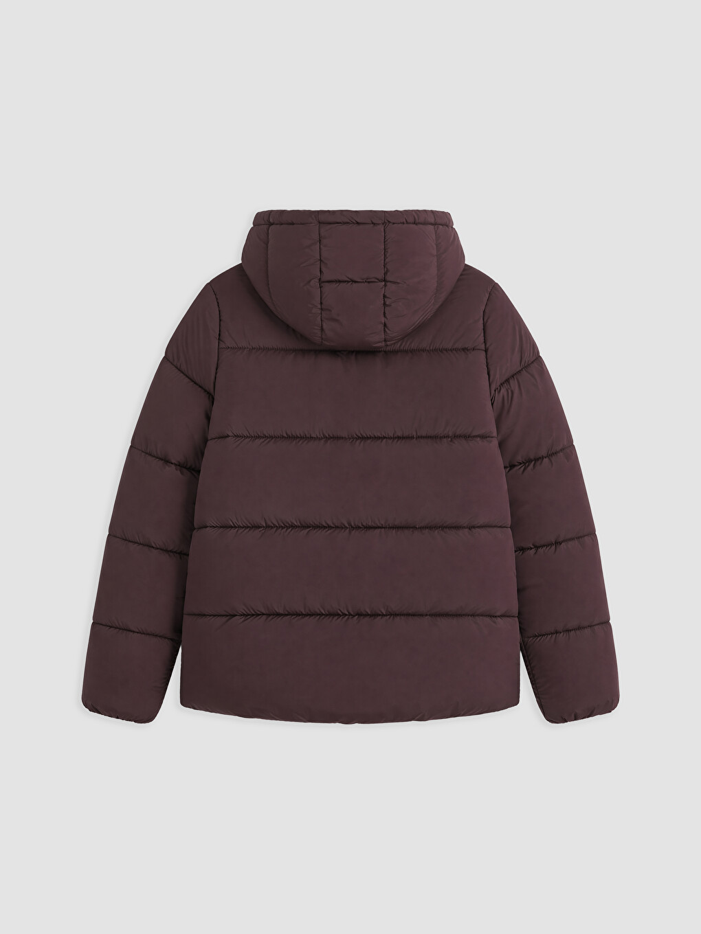 Femër Ngjyre Kumbull Pallto Puffer-5