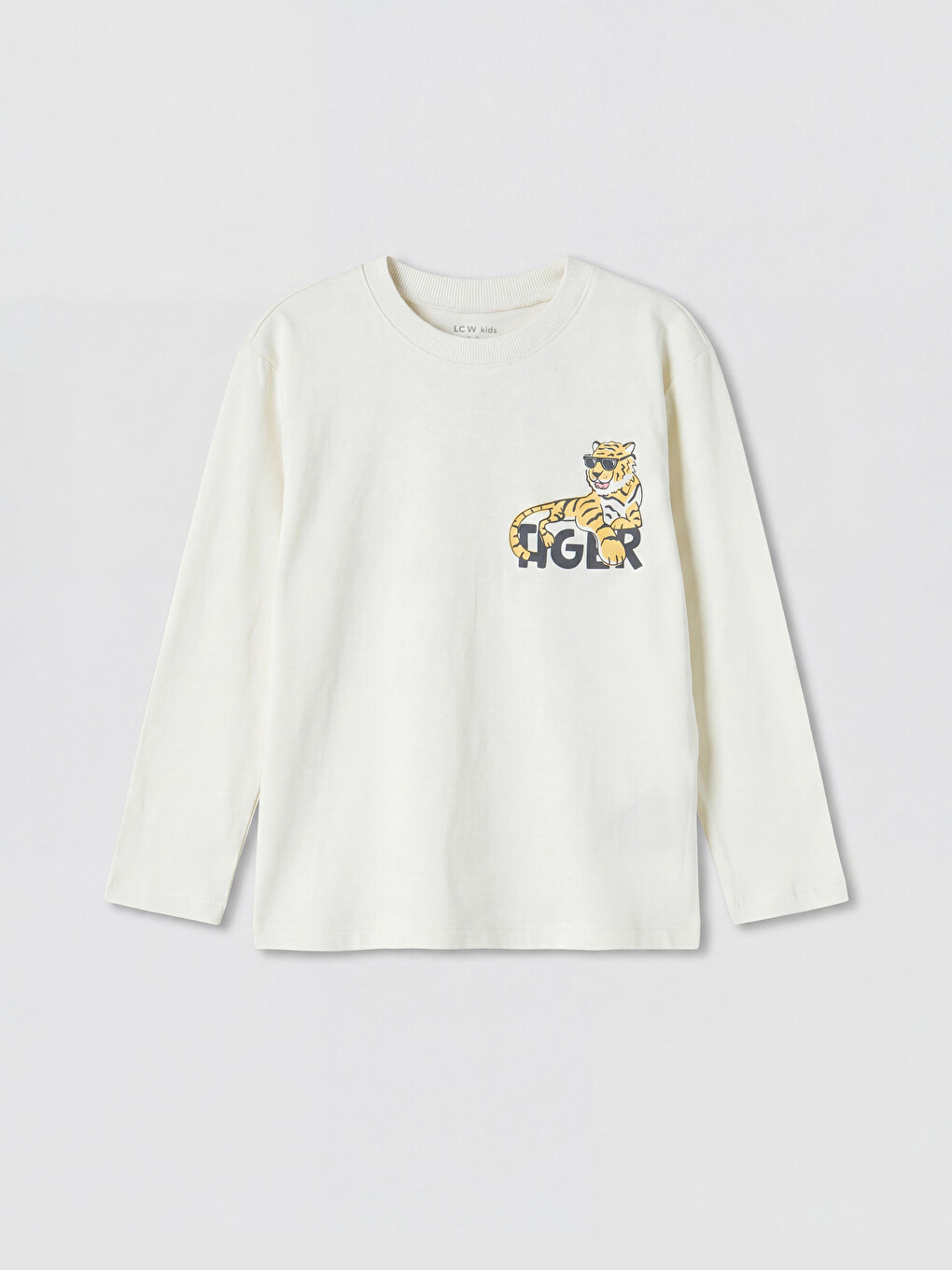 Crew Neck Printed Boys' T-shirt
