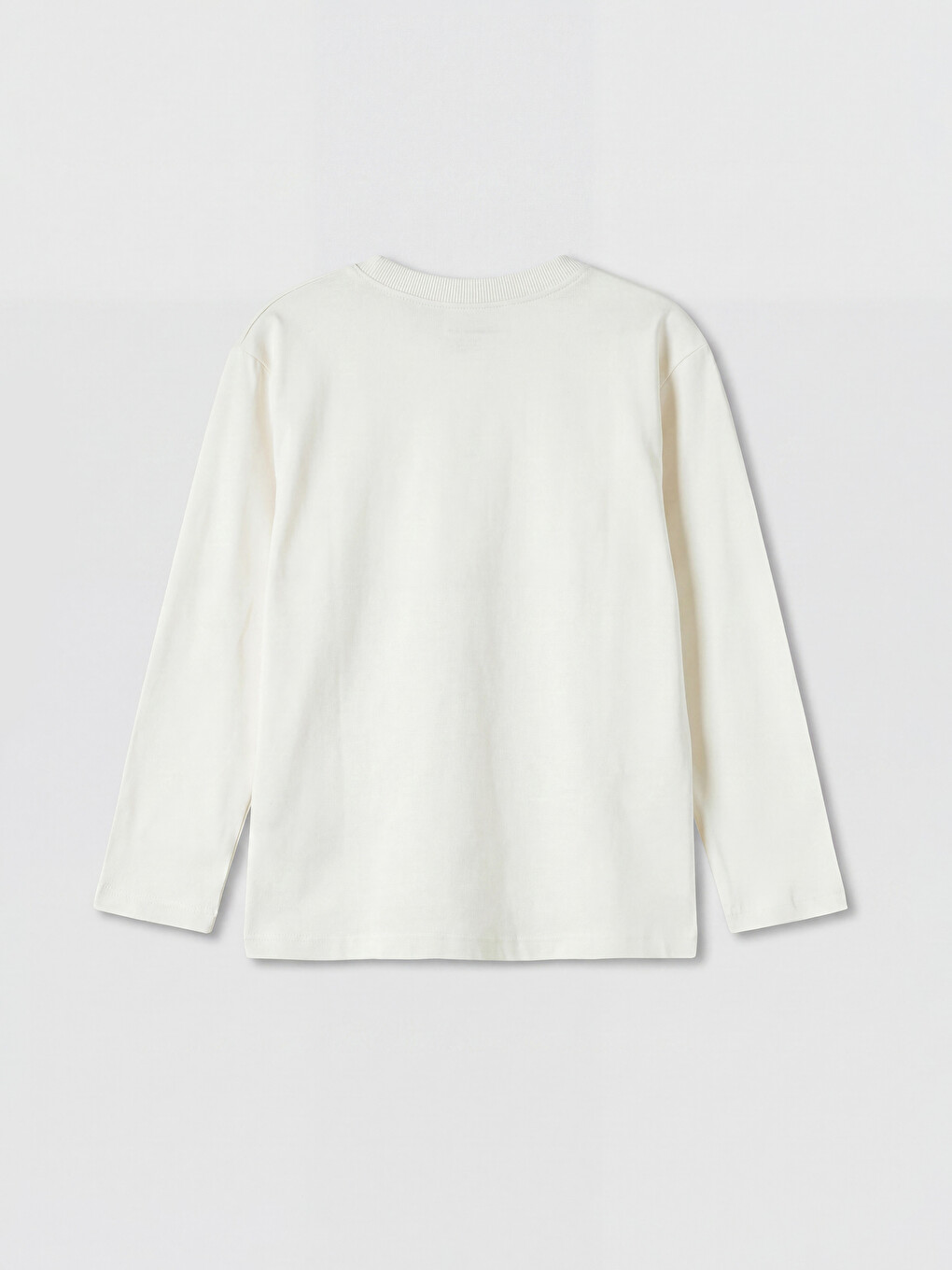 Crew Neck Printed Boys' T-shirt-1