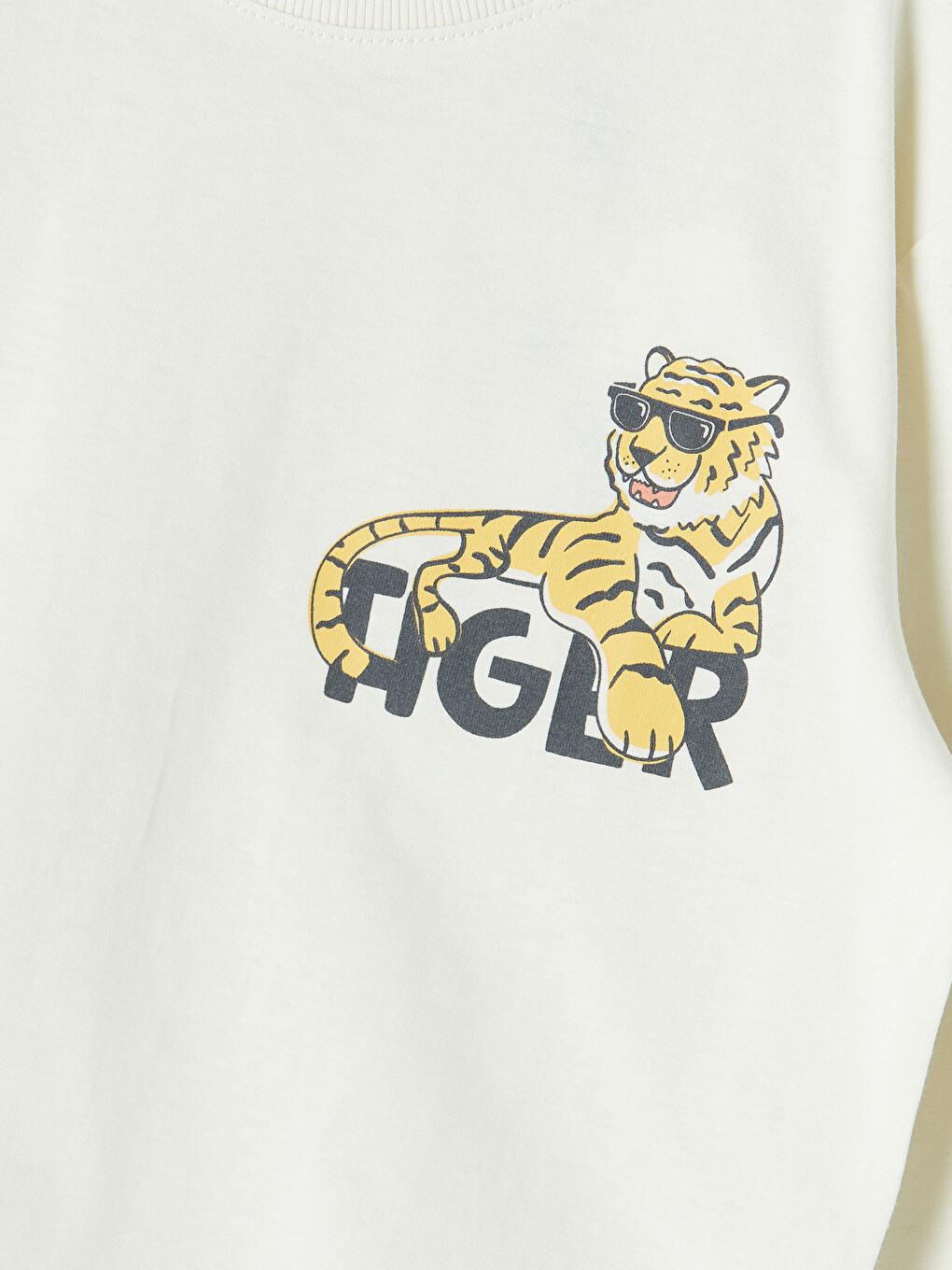 Crew Neck Printed Boys' T-shirt-2