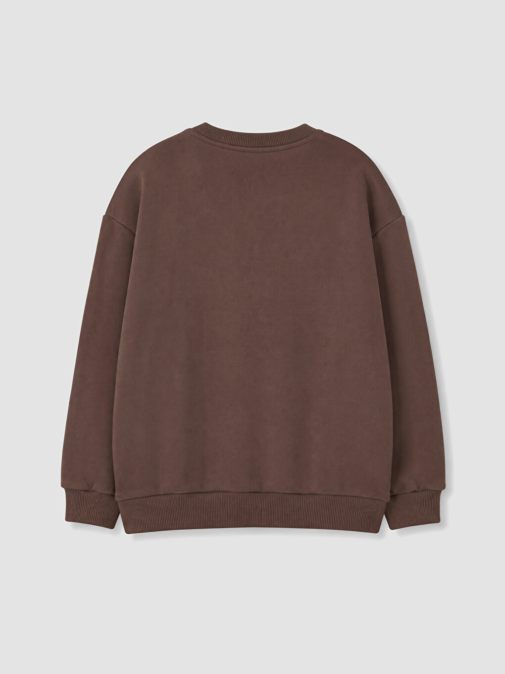 Crew Neck Printed Boys' Sweatshirt-1