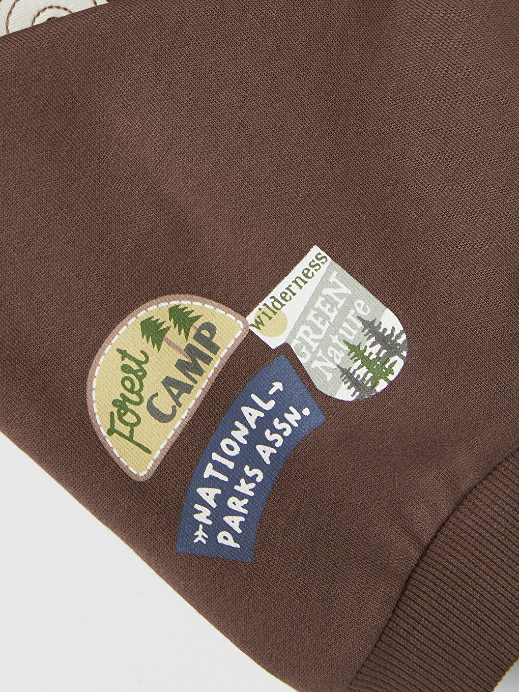 Crew Neck Printed Boys' Sweatshirt-3