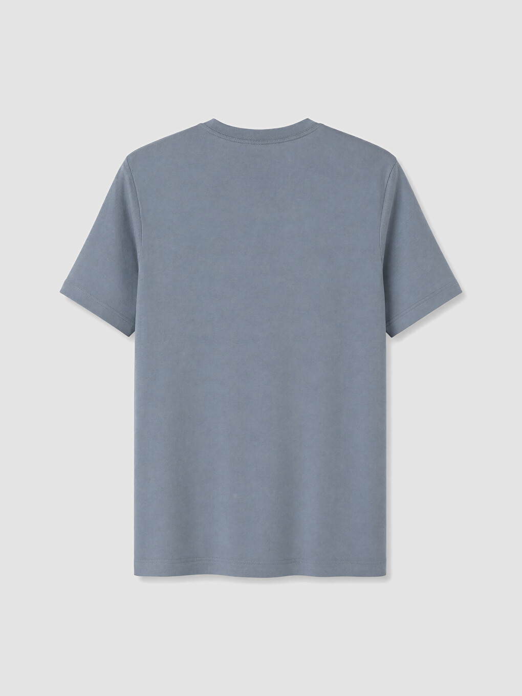 İndigo Regular Fit %100 Pamuk Erkek Tişört-5