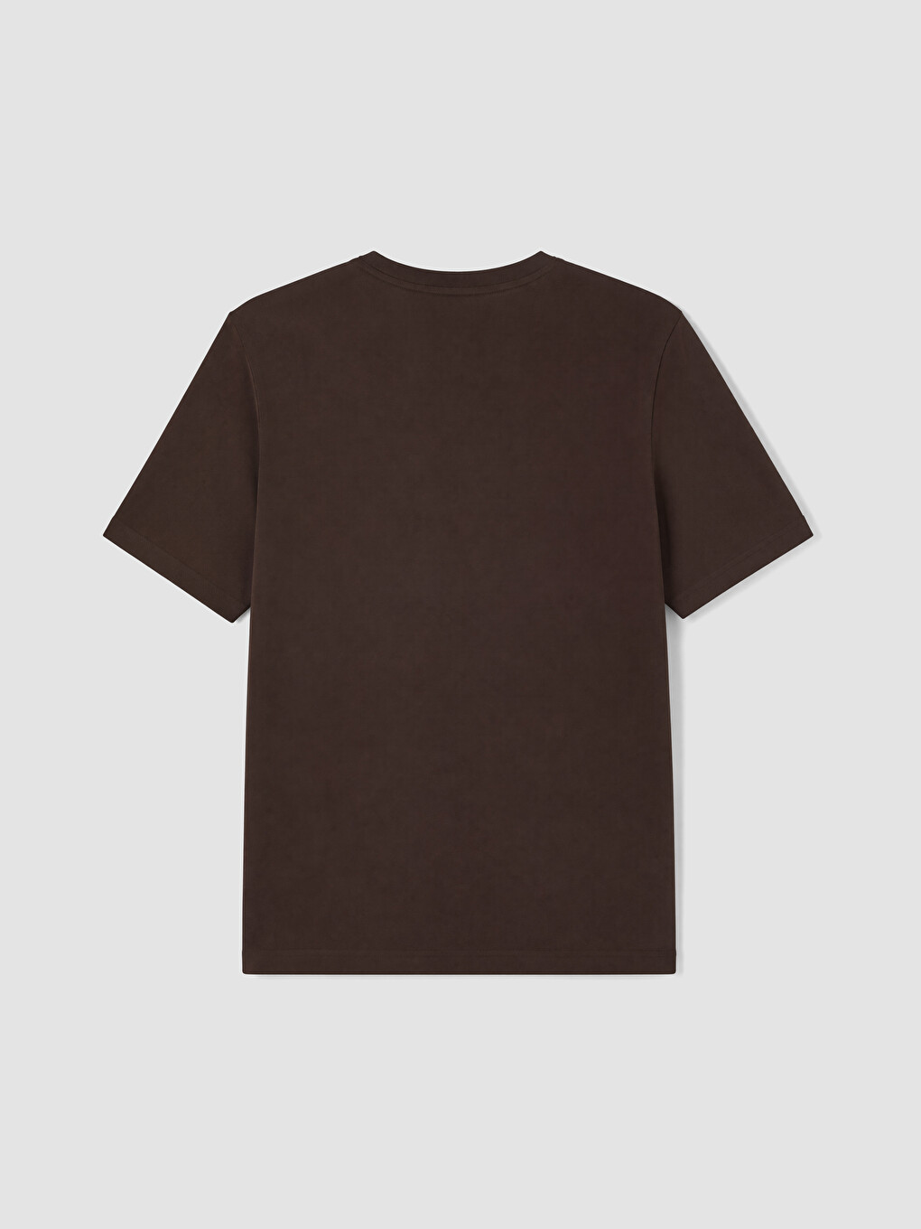 Kahverengi Regular Fit %100 Pamuk Erkek Tişört-5