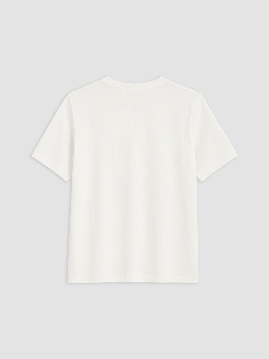 Regular Fit %100 Pamuk Erkek Tişört-1