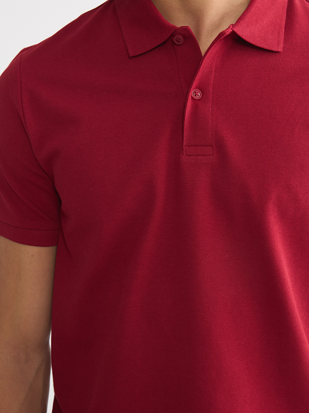 Bordo Polo Yaka Pike Erkek Tişört-2