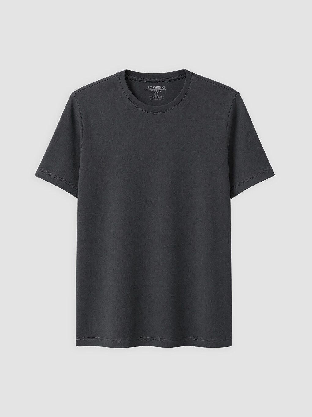 Antrasit Slim Fit Bisiklet Yaka Erkek Tişört