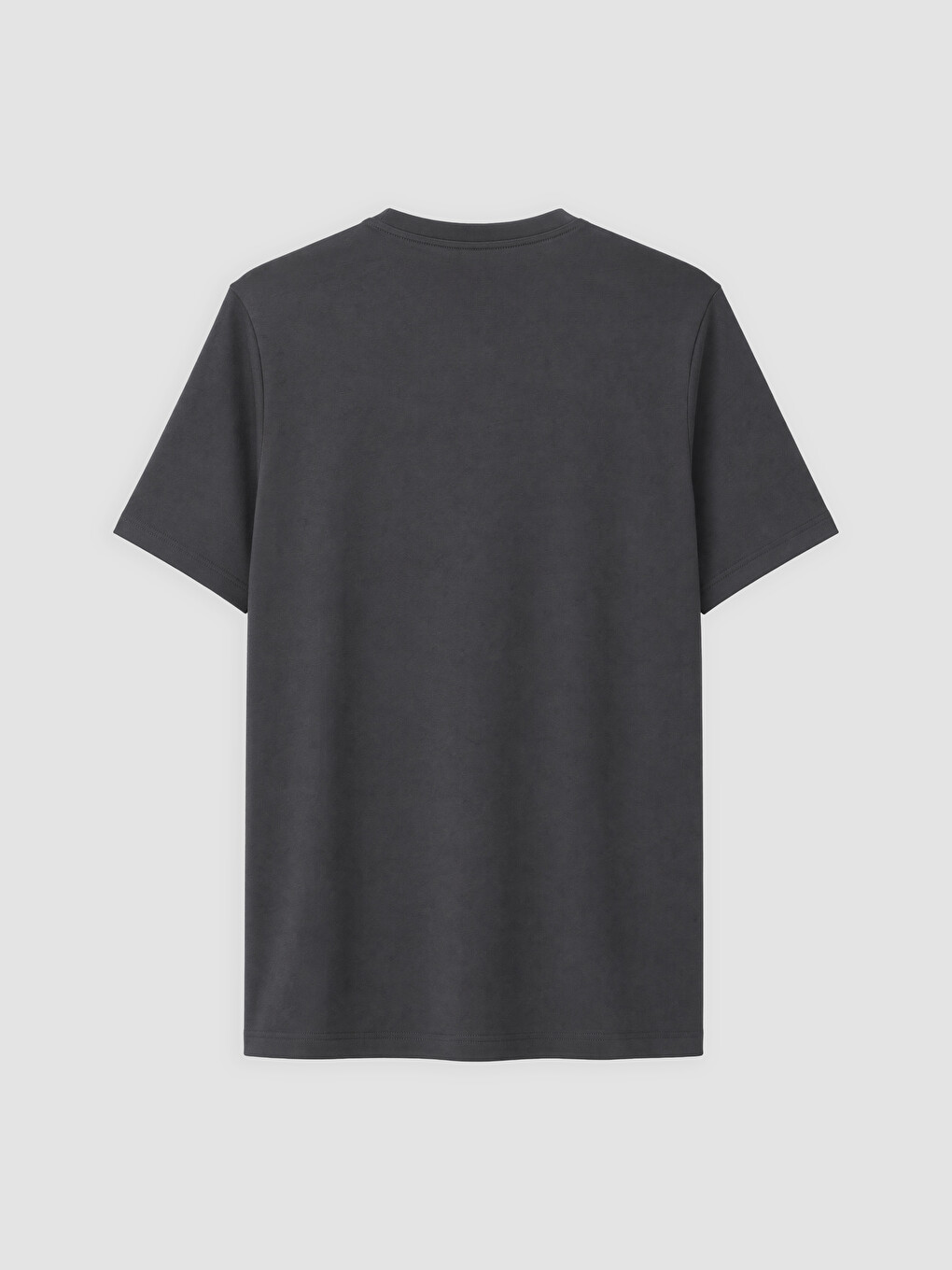 Antrasit Slim Fit Bisiklet Yaka Erkek Tişört-1