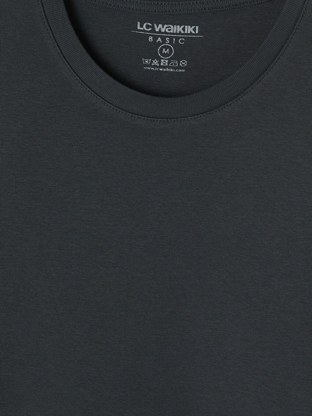 Antrasit Slim Fit Bisiklet Yaka Erkek Tişört-2