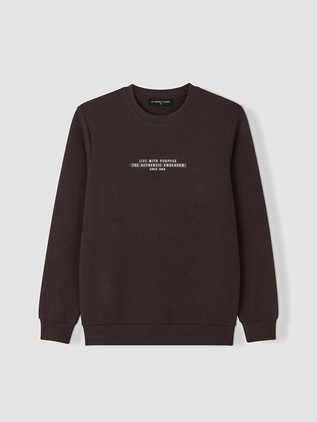 Man Brown Sweatshirt-3