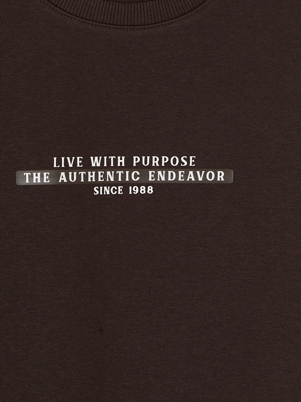 Man Brown Sweatshirt-4