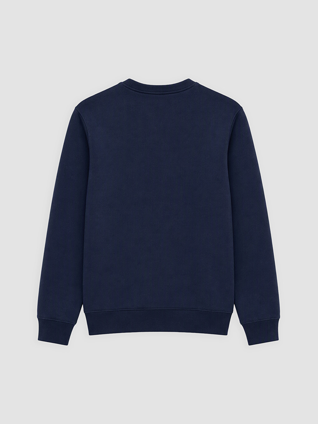 Crew Neck Printed Men's Thick Sweatshirt-1
