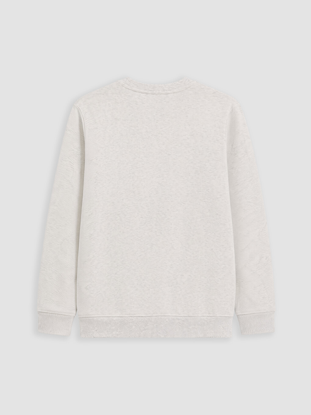 Crew Neck Printed Men's Thick Sweatshirt-6
