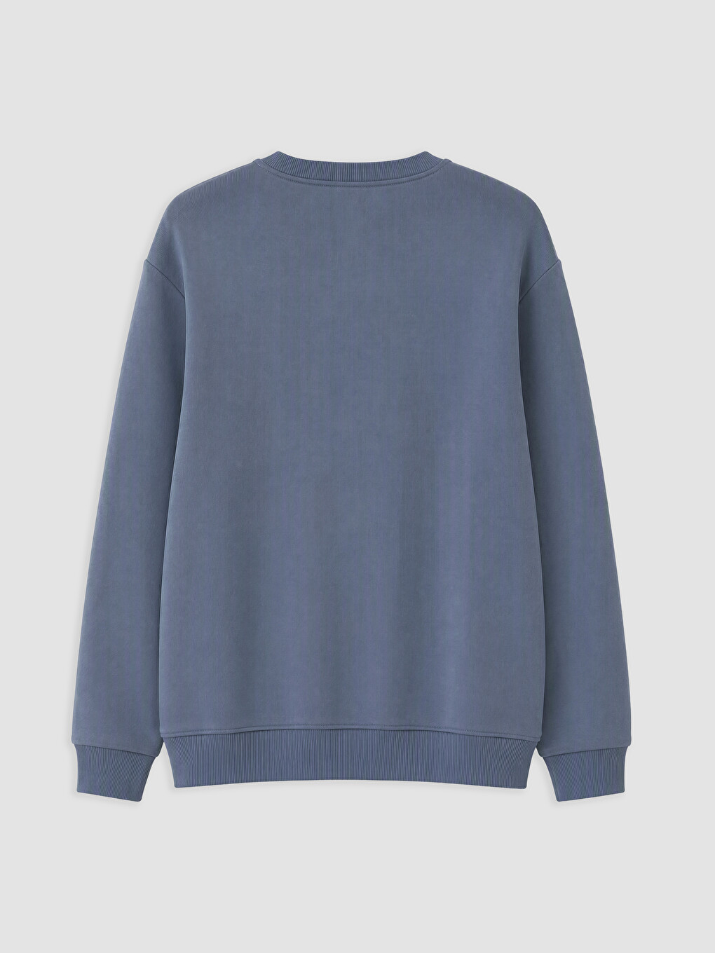 Crew Neck Printed Men's Sweatshirt-1