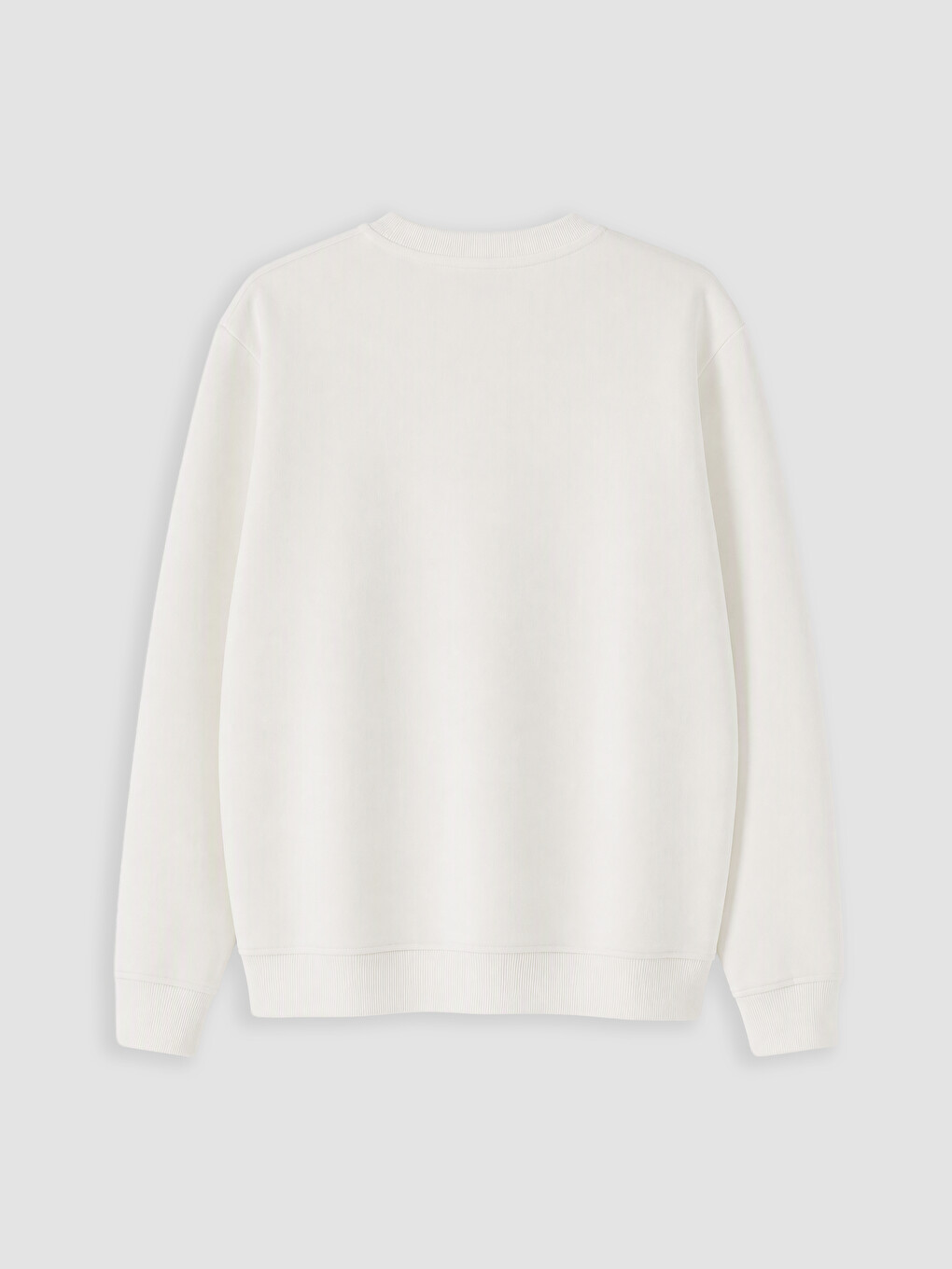 Bisiklet Yaka Erkek Sweatshirt-5