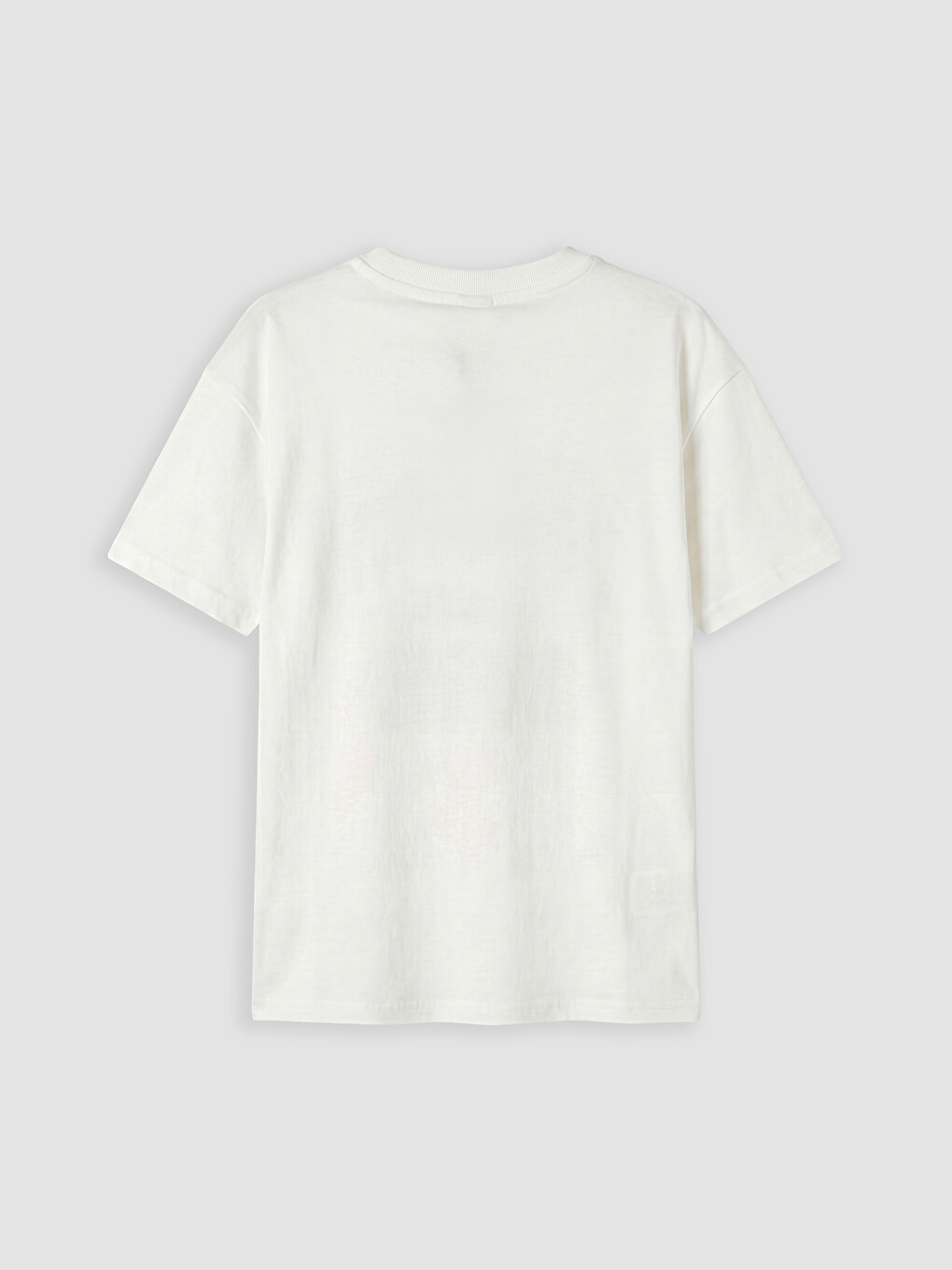Crew Neck Printed Boys' T-shirt-2