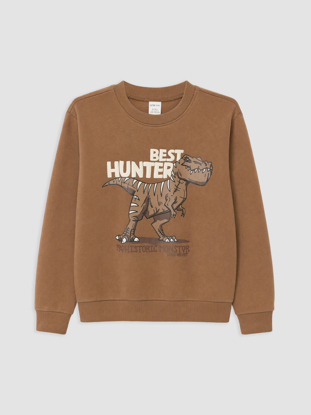Boy Brown Set-1