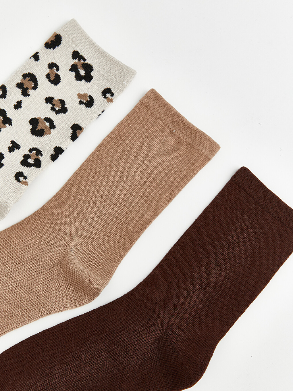 Leopard Print Women's Ankle Socks 5 Pack-1