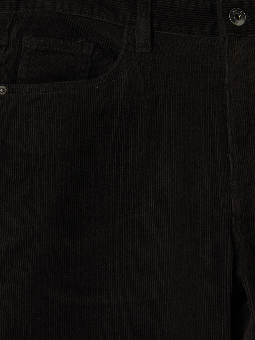 Regular Fit Velvet Men's Trousers-5