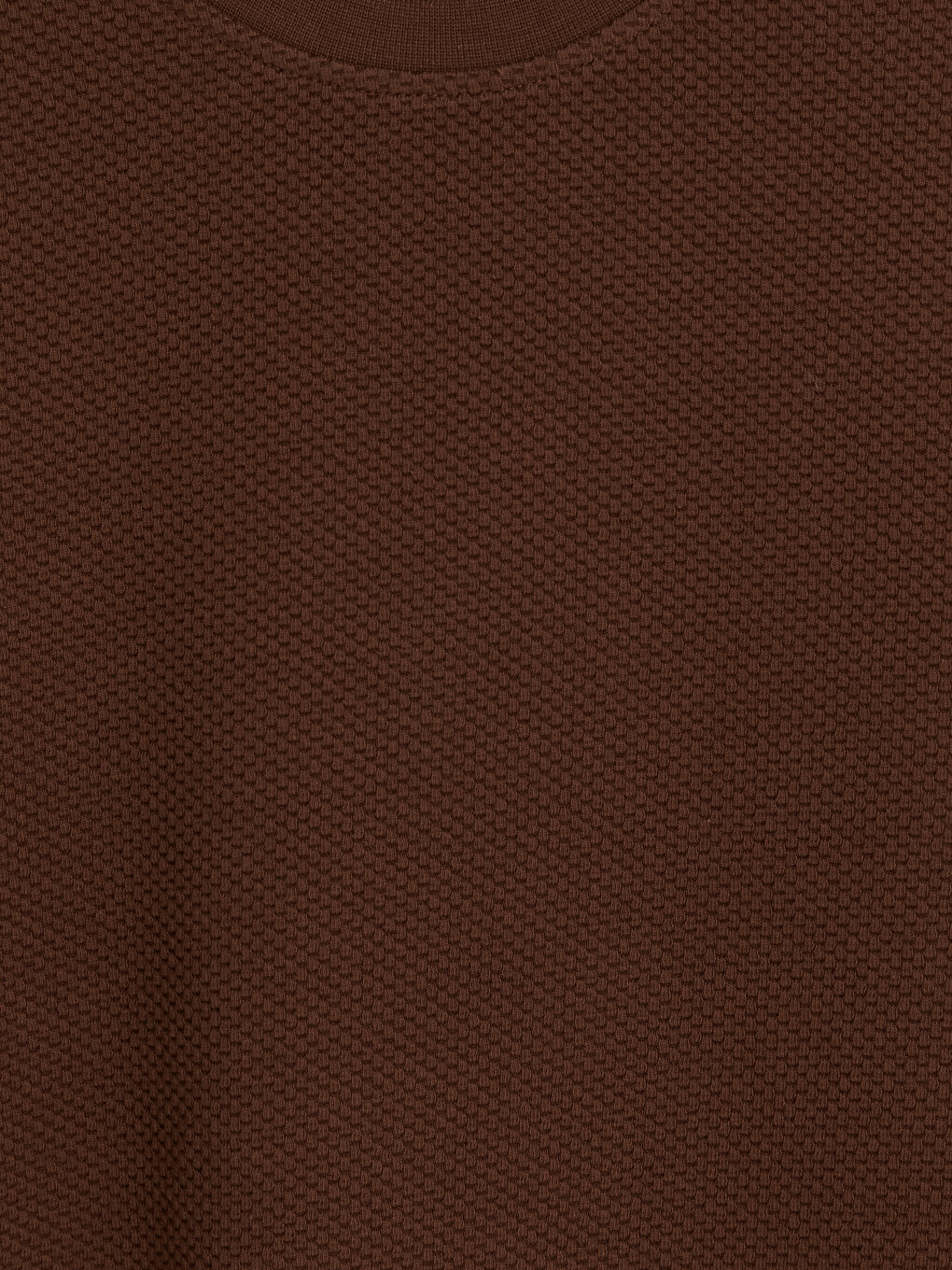 Kahverengi Bisiklet Yaka Erkek Sweatshirt-1