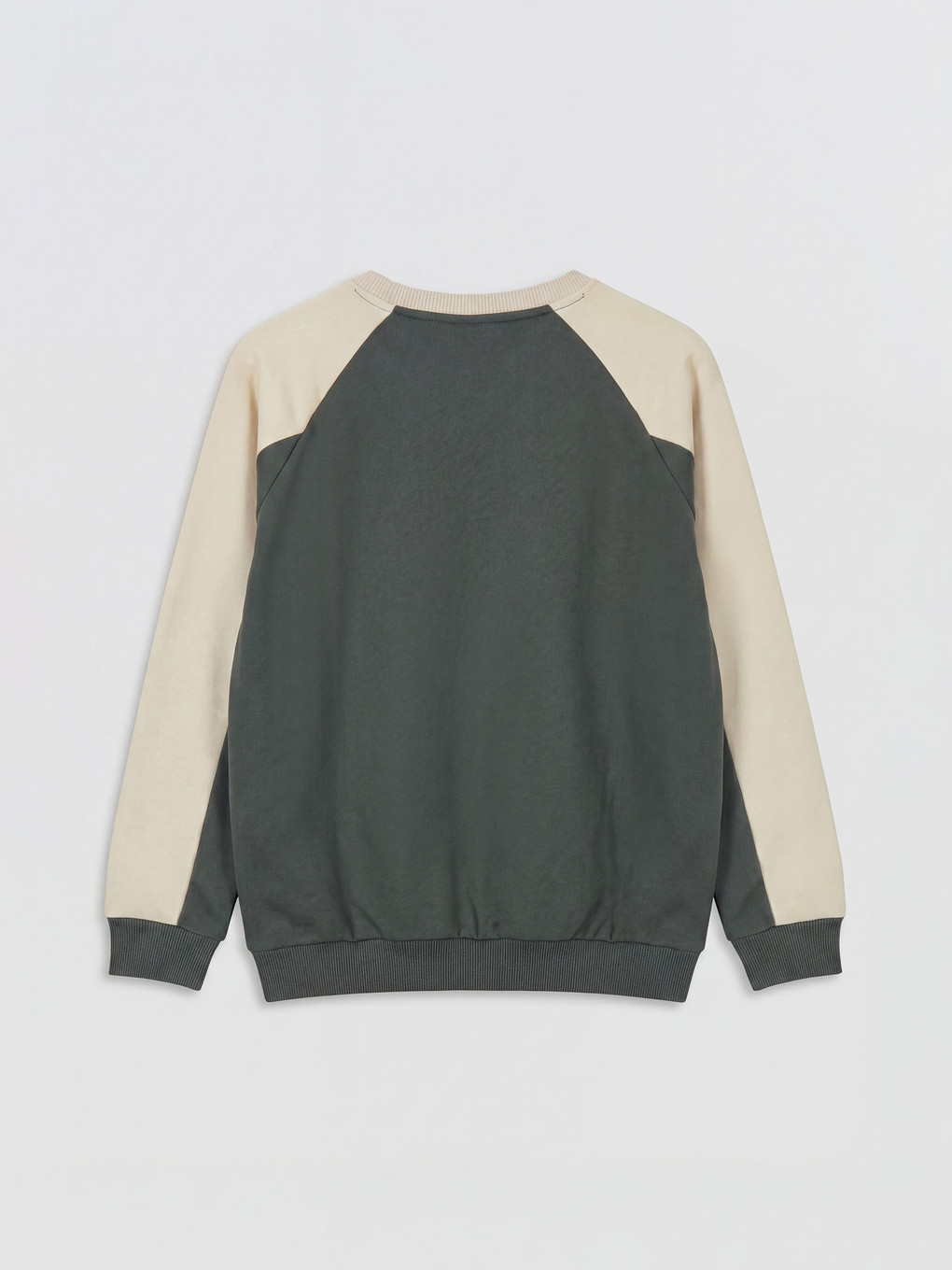 Yeşil Baskılı Erkek Çocuk Kalın Sweatshirt-1