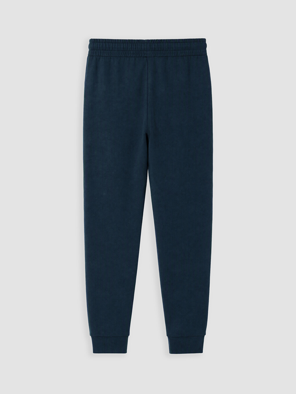 Petrol Regular Fit Erkek Jogger Eşofman Altı-2