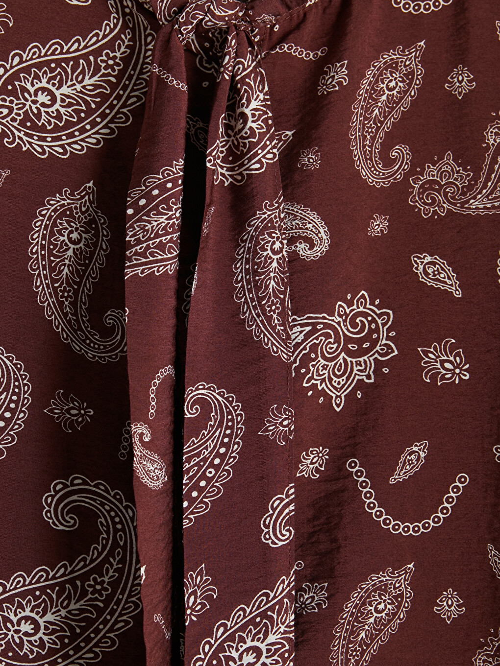 Žena Smeđa Bluza-5