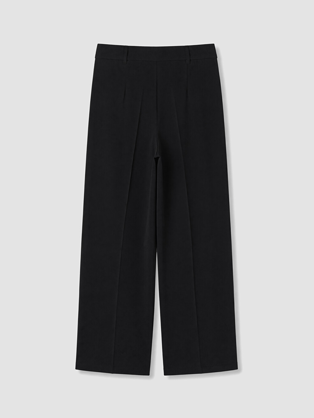Pleated Wide Leg Regular Fit Women's Trousers-6