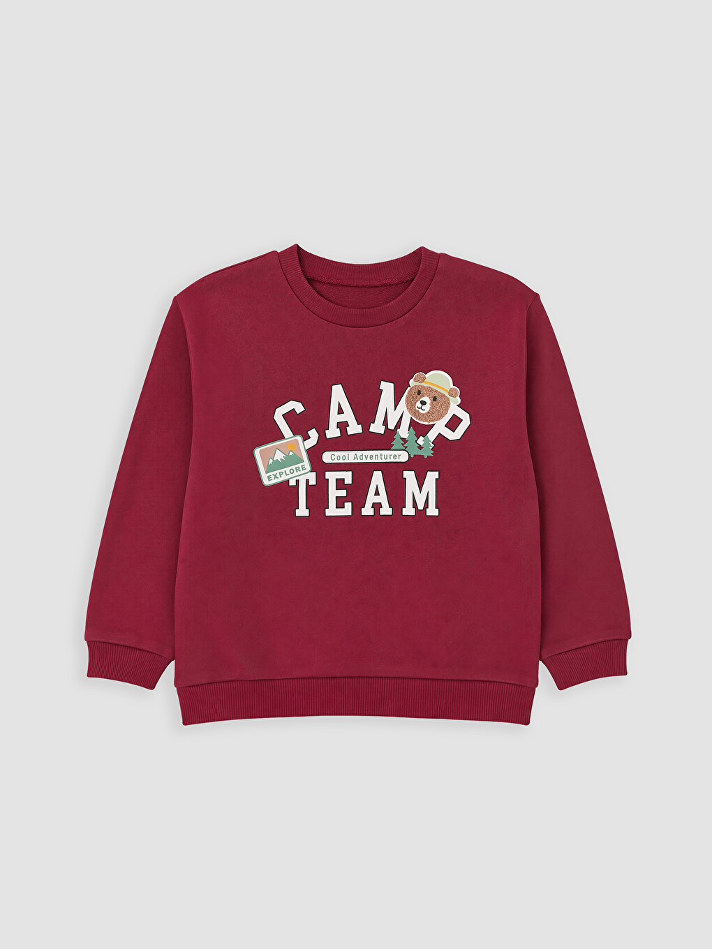 Printed Baby Boys' Sweatshirt