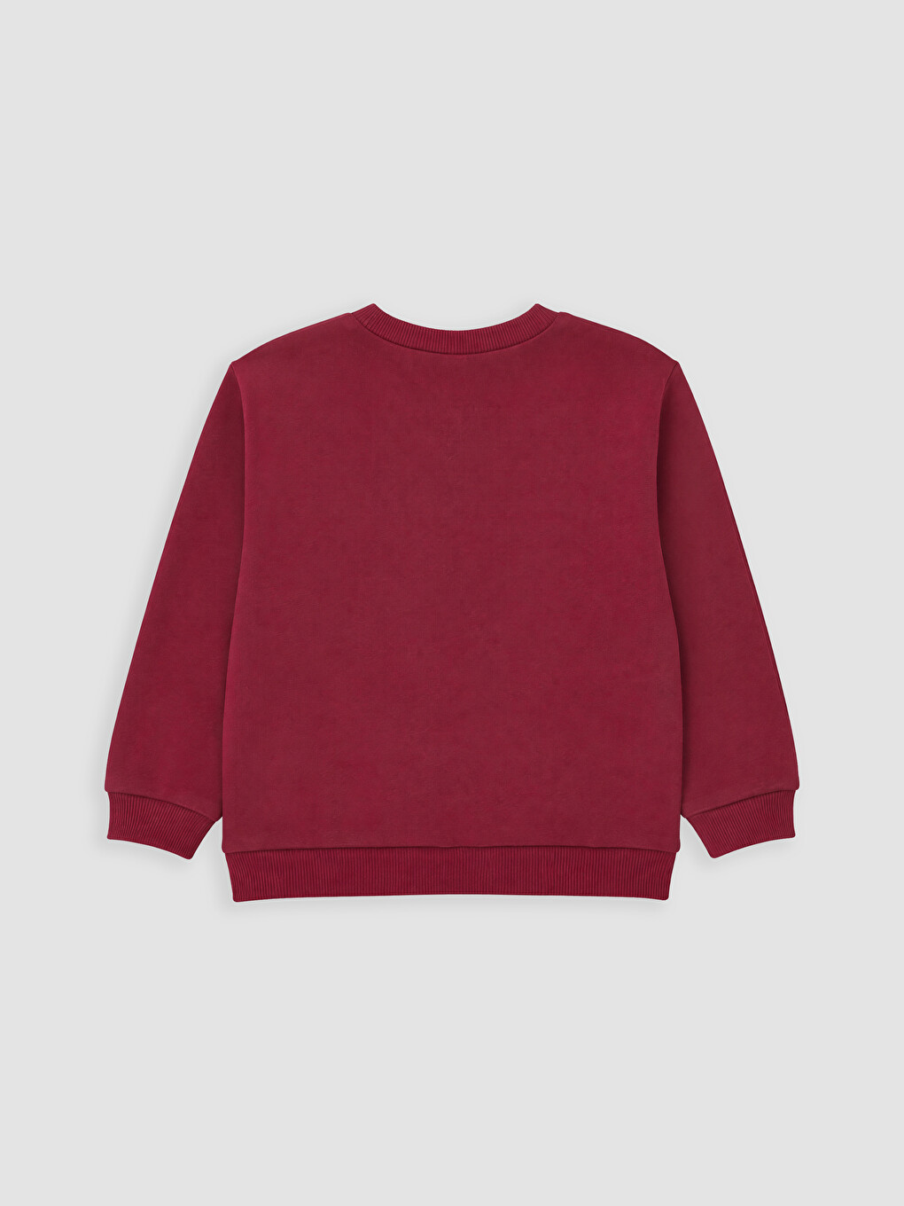 Printed Baby Boys' Sweatshirt-2
