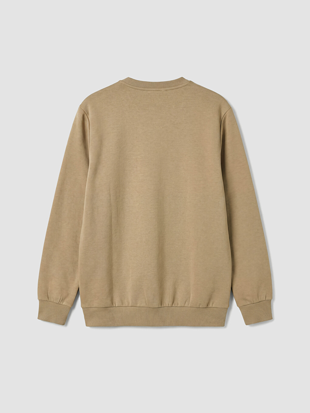 Crew Neck Printed Men's Sweatshirt-5
