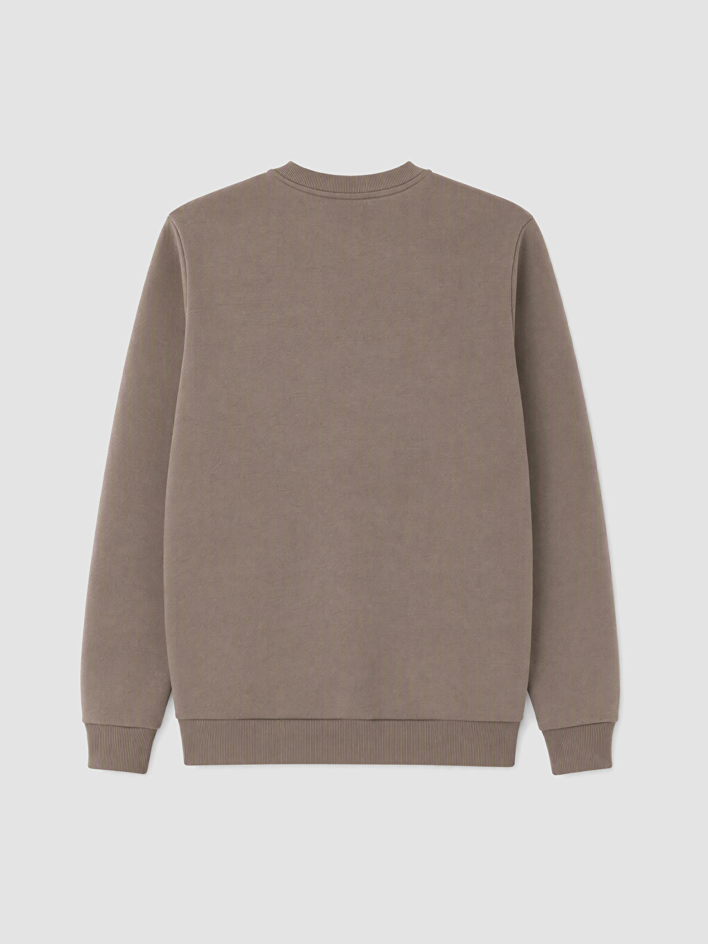 Bisiklet Yaka Nakışlı Erkek Kalın Sweatshirt-7