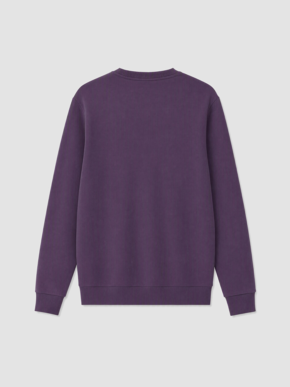 Bisiklet Yaka Nakışlı Erkek Sweatshirt-7