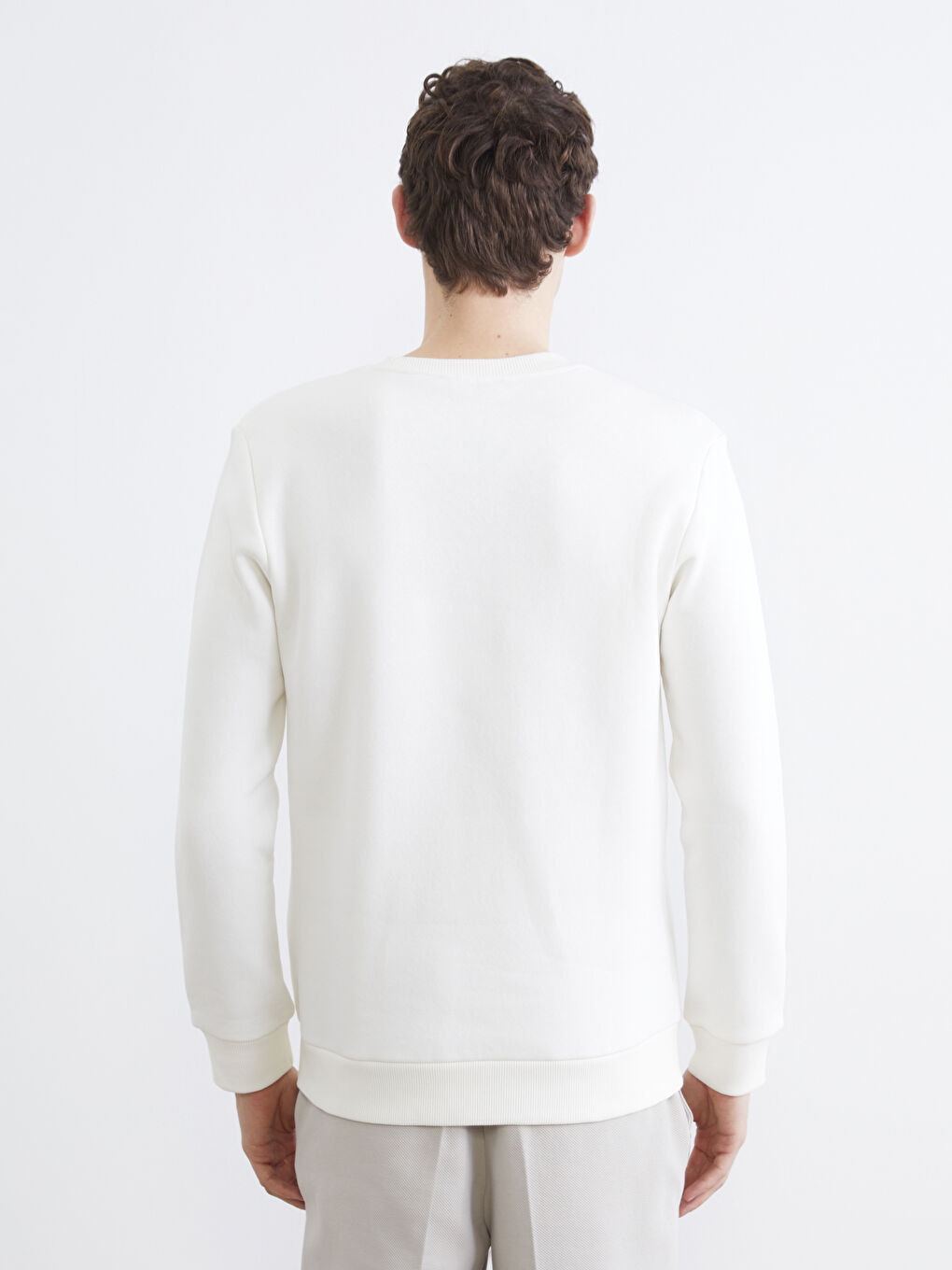 Men's Crew Neck Embroidered Sweatshirt-3
