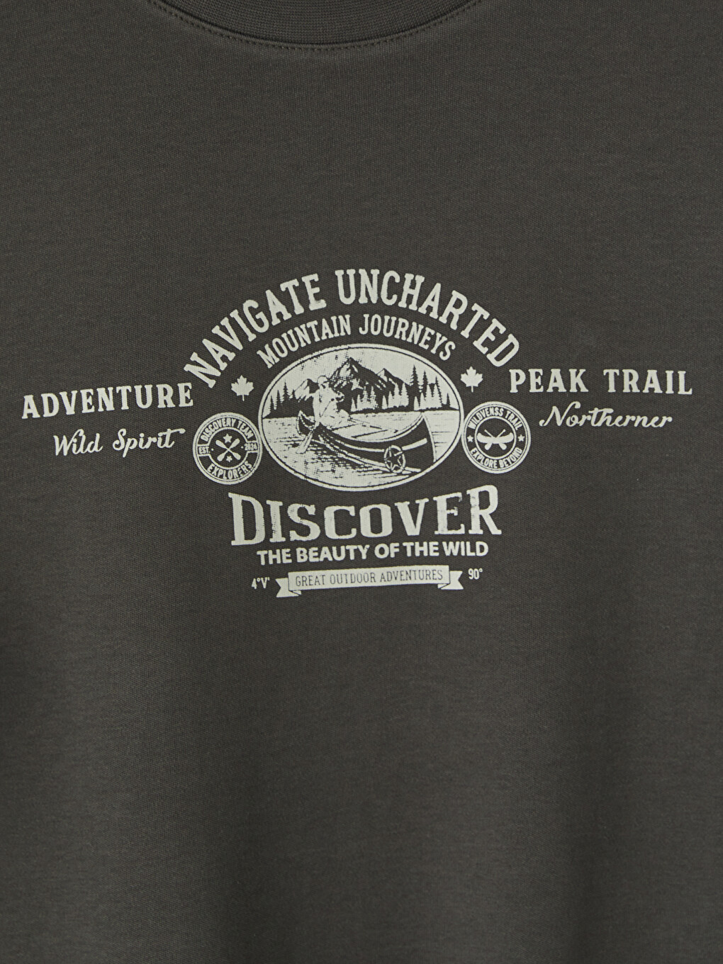 Crew Neck Printed Men's Sweatshirt-5