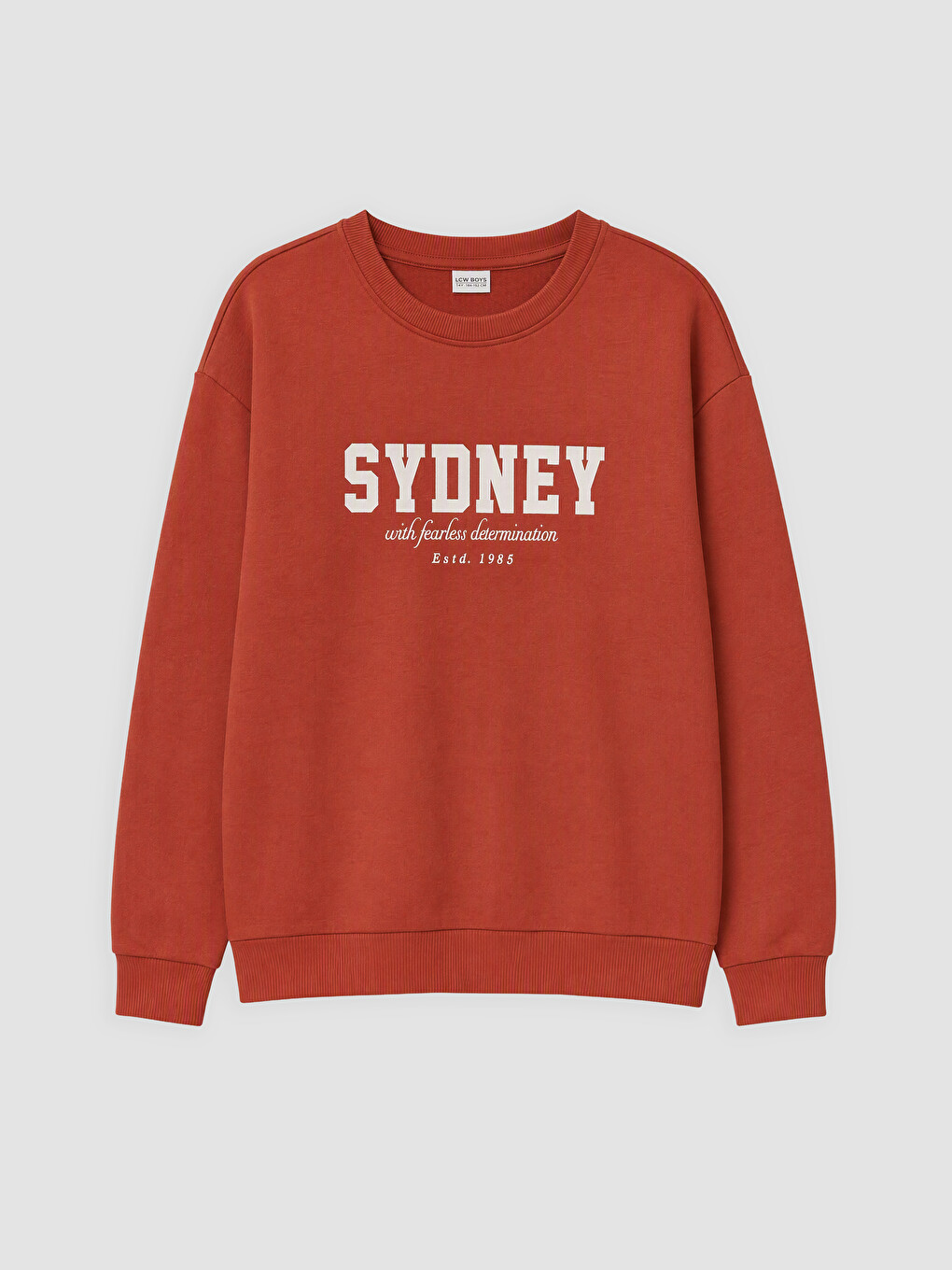 Kahverengi Bisiklet Yaka Sydney Baskılı Erkek Çocuk Sweatshirt