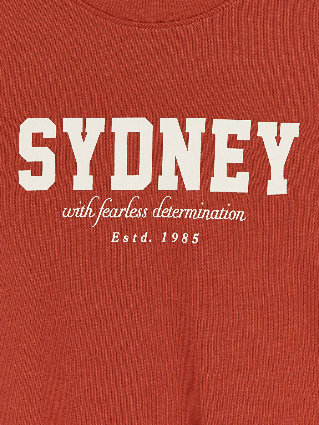 Kahverengi Bisiklet Yaka Sydney Baskılı Erkek Çocuk Sweatshirt-2