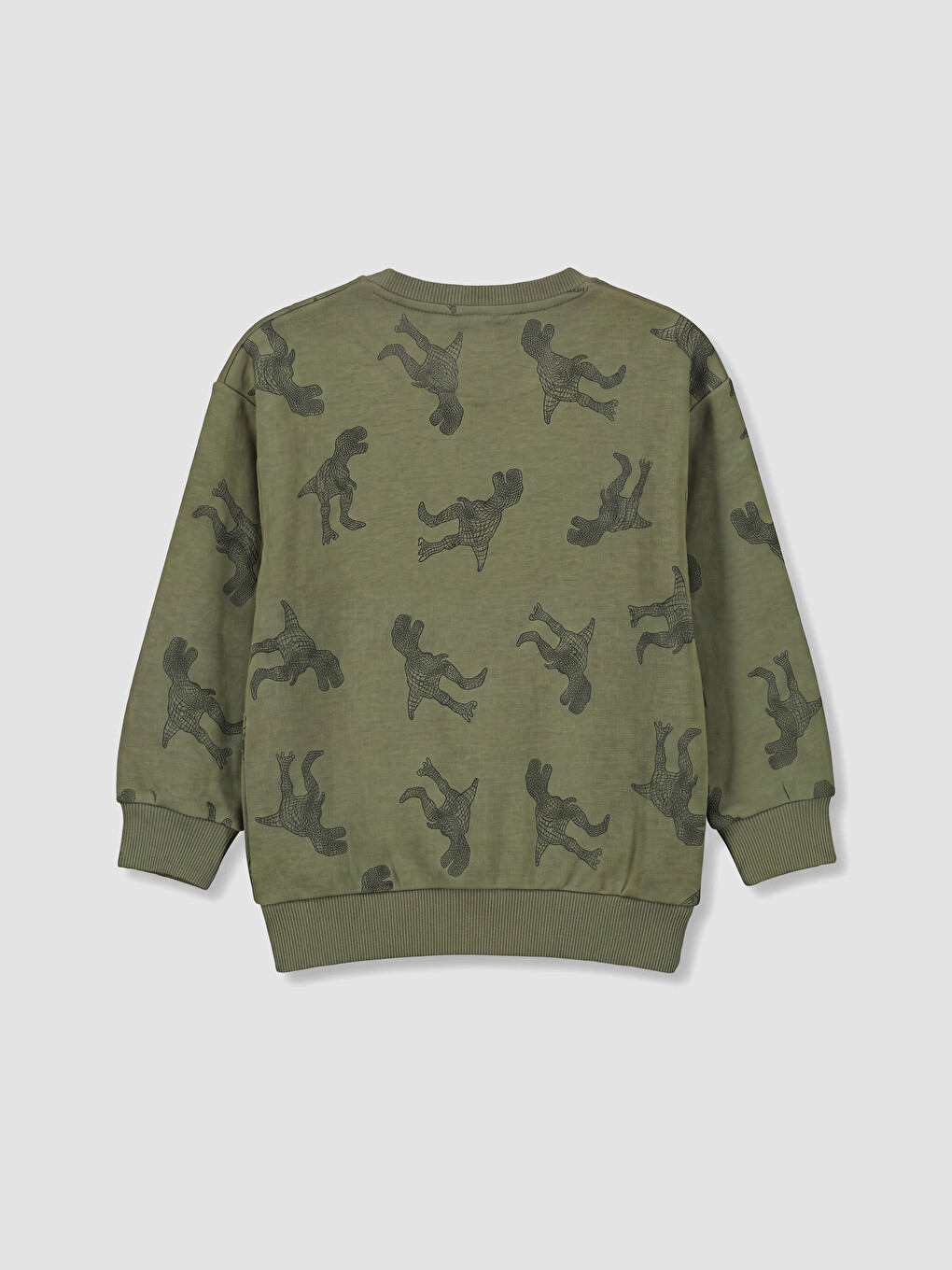 Haki Bisiklet Yaka Dinozor Baskılı Erkek Çocuk Sweatshirt-3