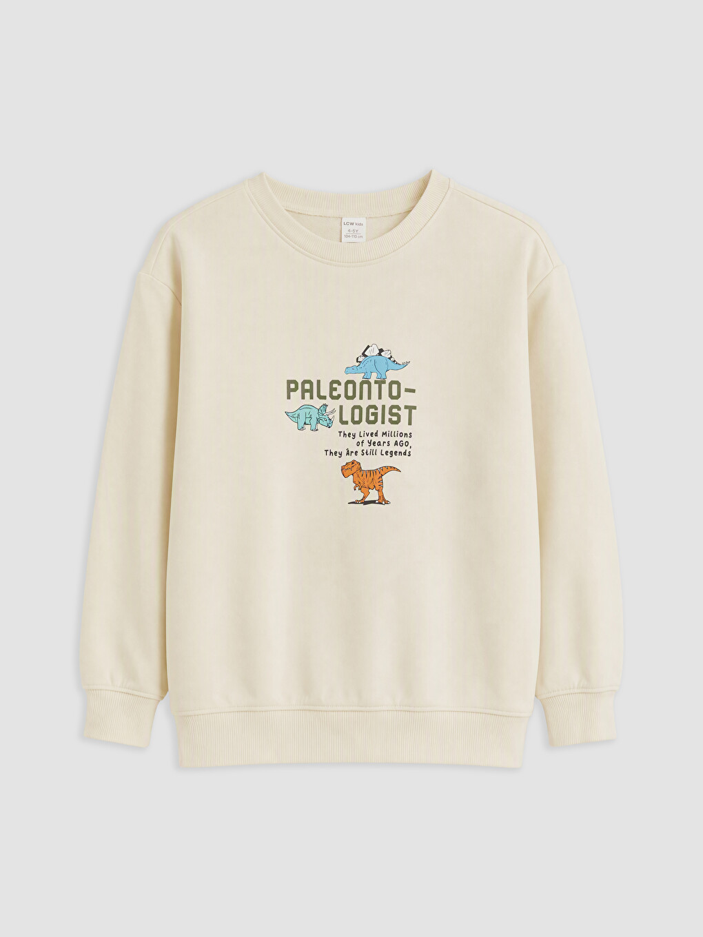 Boy Khaki Sweatshirt-3