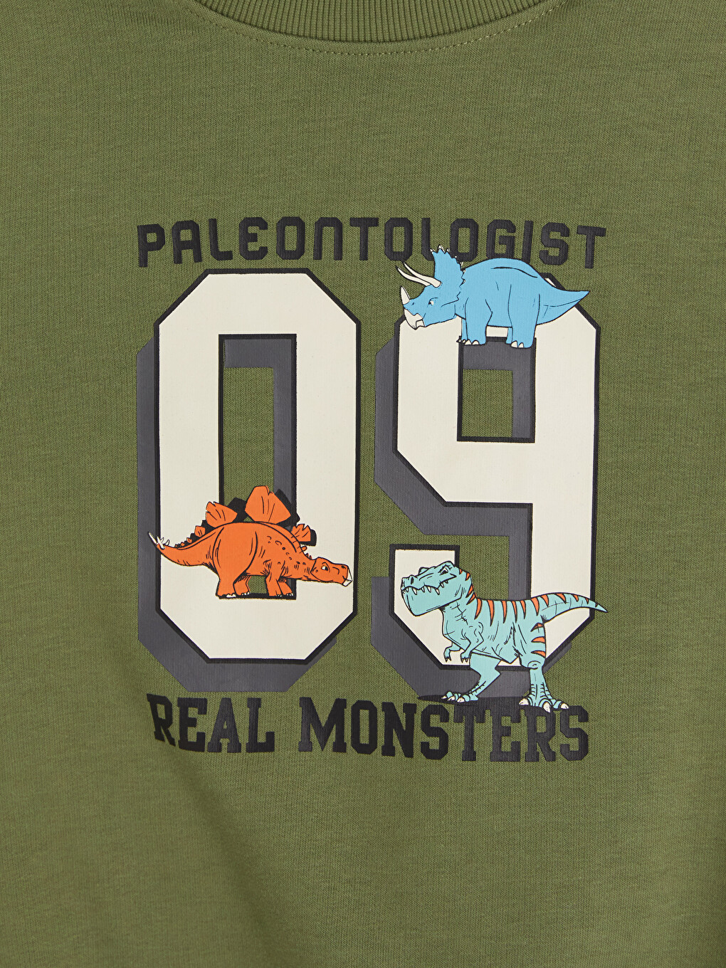 Boy Khaki Sweatshirt-4