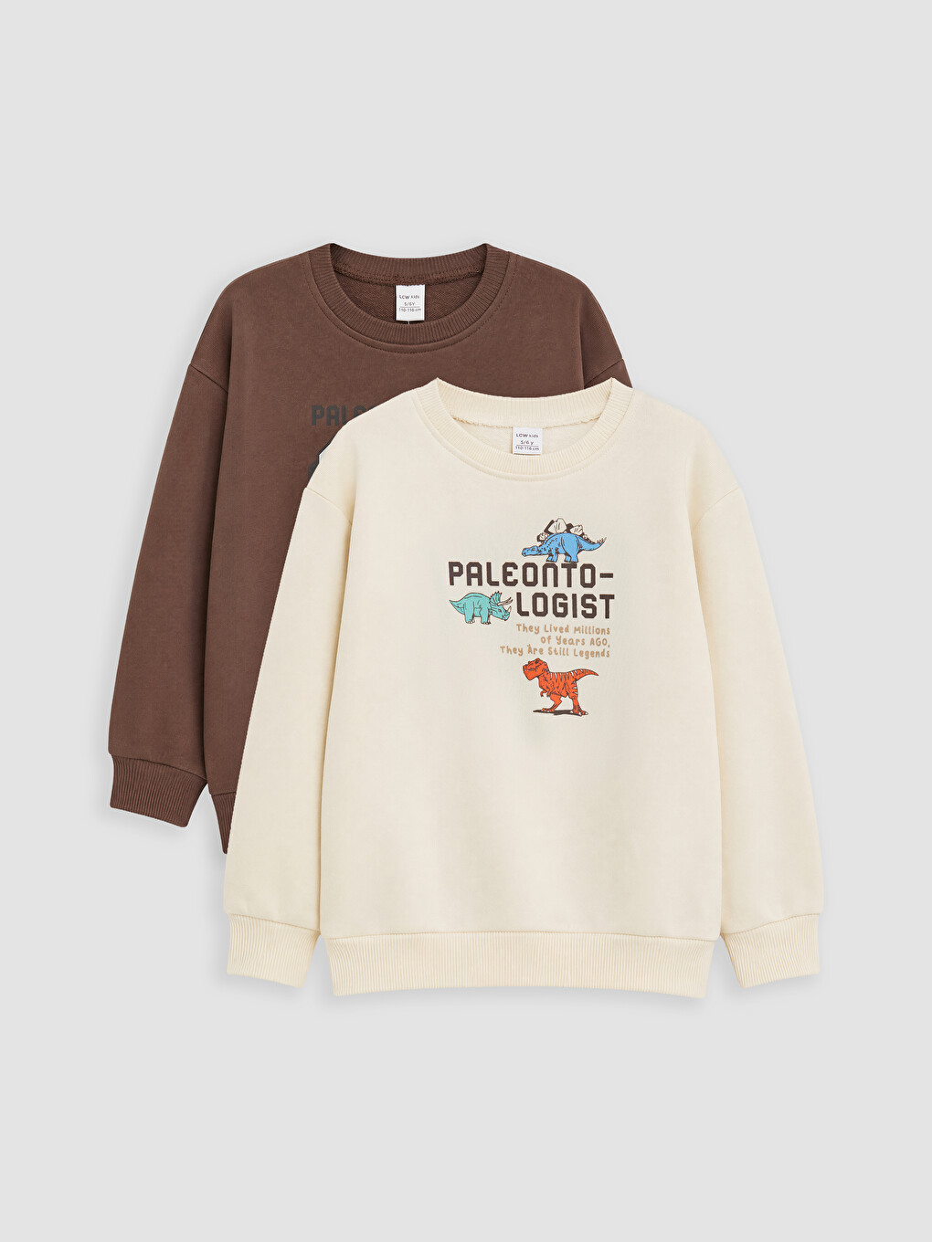 Kahverengi Erkek Çocuk Sweatshirt 2'li