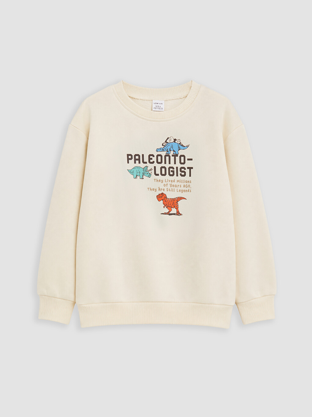 Kahverengi Erkek Çocuk Sweatshirt 2'li-4