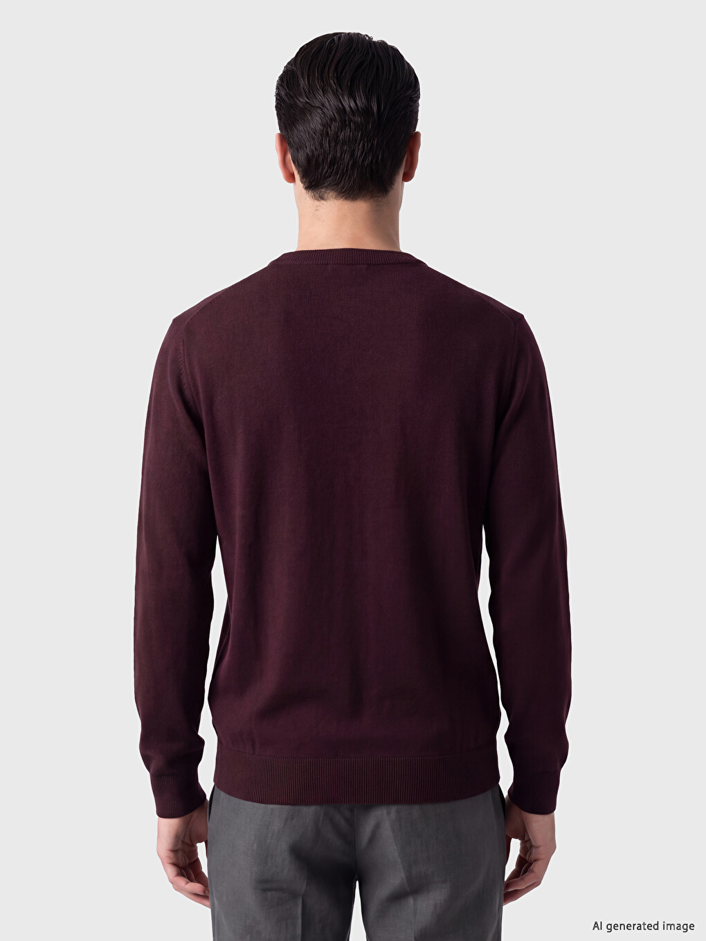 Man Bordeaux Sweater-2