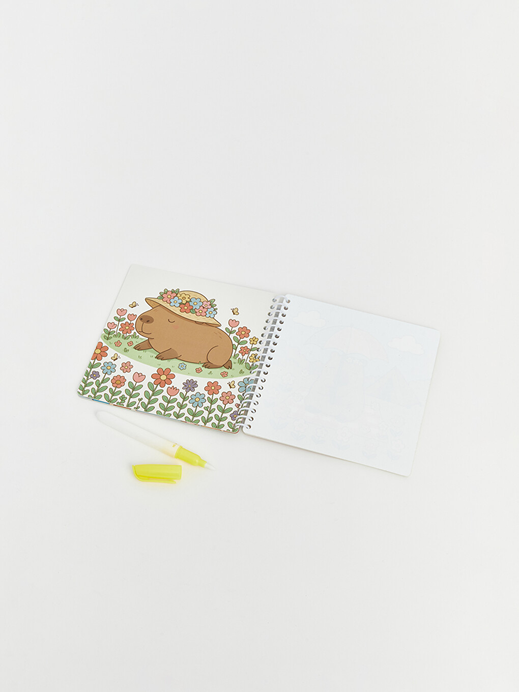 Magic Water Pen Painting Set-7