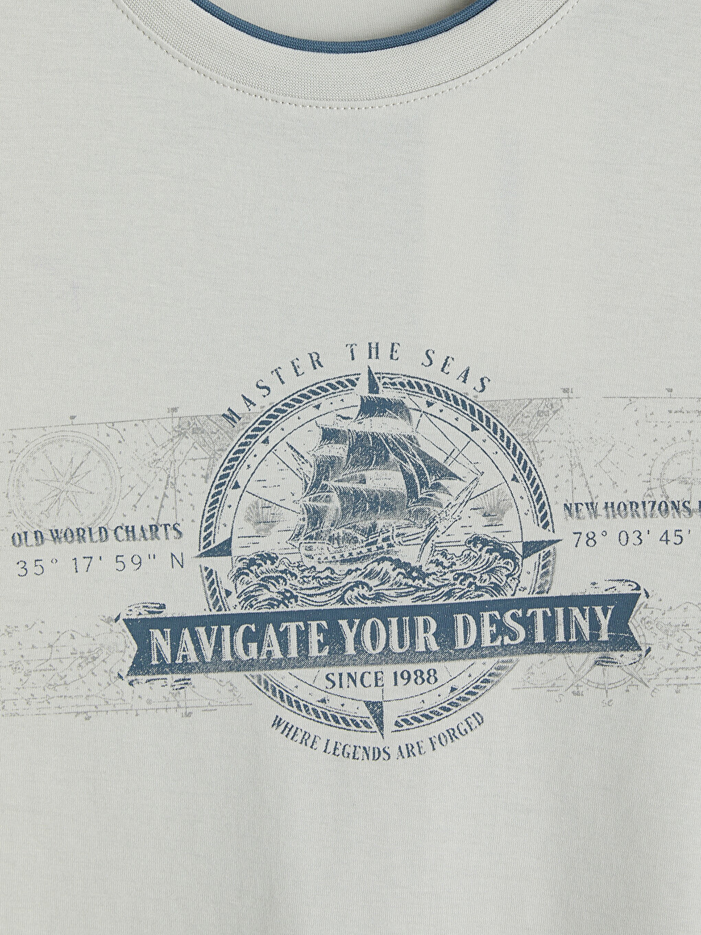 Crew Neck Printed Men's T-shirt-4