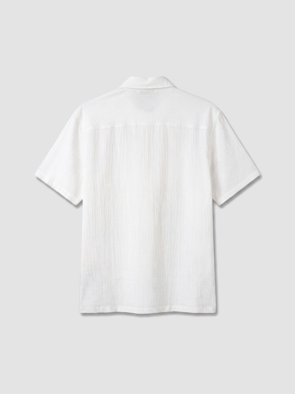Regular Fit Crinkle Fabric Men's Shirt-6